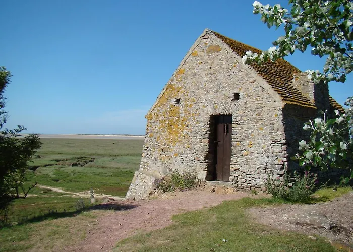 Le Coquillage, 50m De La *